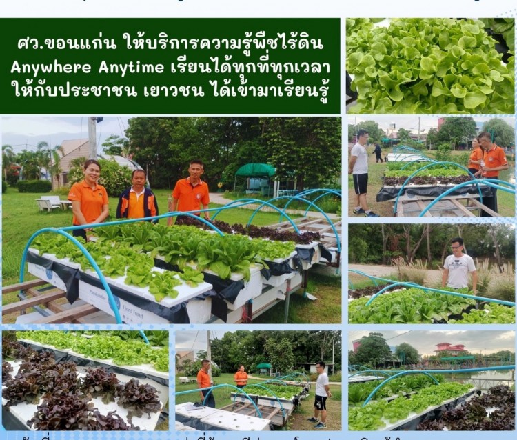 ประชาชนสนใจเรียนรู้พืชไร้ดิน